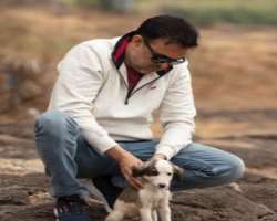 The actor has adopted two cats and one dog in his home. He named them Shifu, Rick, and Mishti.